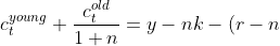 c^{young}_{t}+\frac{c^{old}_{t}}{1+n}=y-nk-(r-n)b^{in}